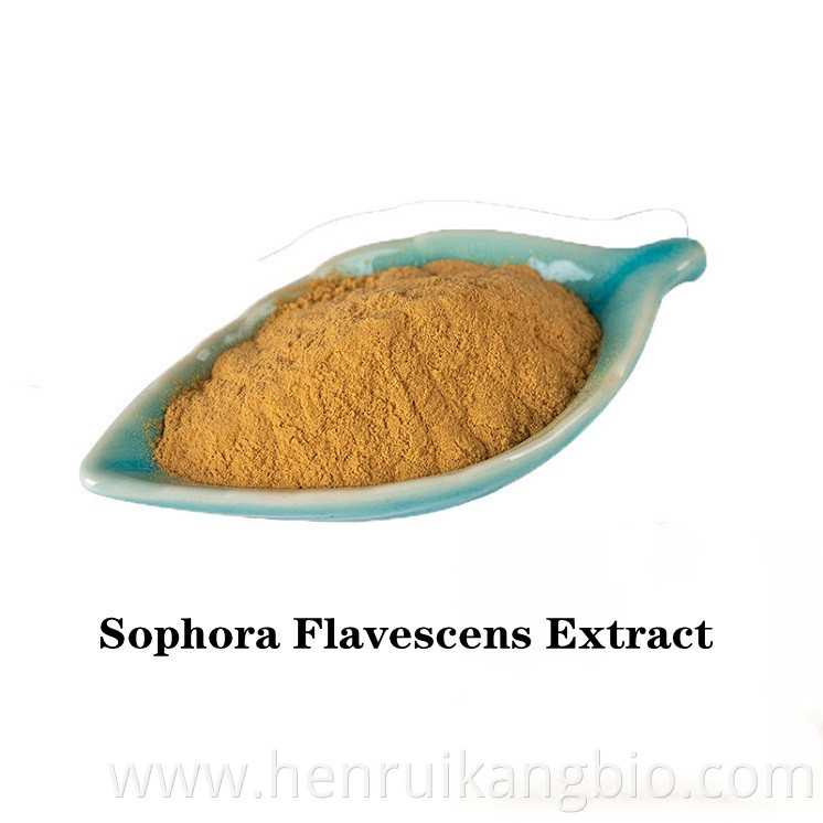 Sophora Flavescens Extract powder